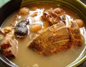 黃芪薏苡仁烏龜湯 黃芪薏苡仁烏龜湯