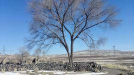 趙油坊大隊 趙油坊大隊