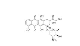 蒽環類抗生素 蒽環類抗生素