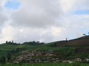 勐丹自然村 勐丹自然村