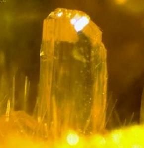 加拿大產的鈾礦