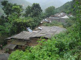 森樹林村 森樹林村