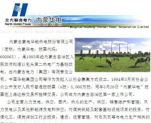 內蒙古蒙電華能熱電股份有限公司