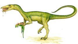 破碎中國虛骨龍