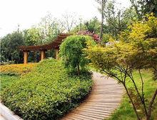 株洲湘江風光帶