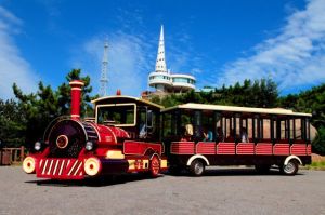 蓮花山觀景台 蓮花山觀景台