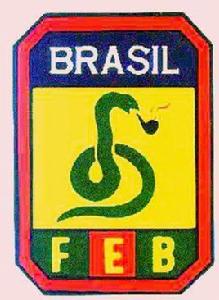 巴西遠征軍 巴西遠征軍