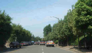 上海劉行駕校 上海劉行駕校