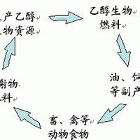 催化柴油 催化柴油