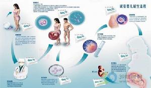 1980年6月20日 1980年6月20日