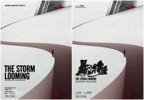 暴雪將至[2017年段奕宏主演電影]