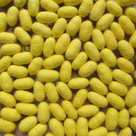 粵蠶黃繭1號 粵蠶黃繭1號