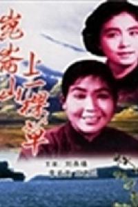 崑崙山上一棵草 崑崙山上一棵草