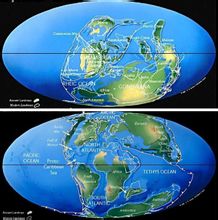 地球板塊從古生代到中生代的變化