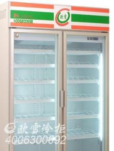 冷櫃 冷櫃