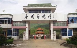 富家橋異蛇村 富家橋異蛇村