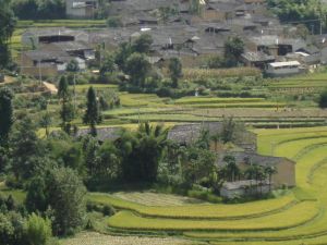 龍家營自然村 龍家營自然村