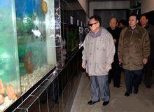 朝鮮最高領導人金正日視察動物園