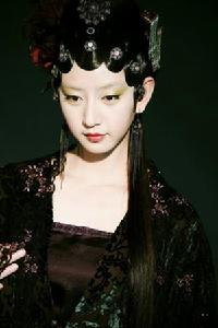 <<紅樓夢>>[2010年李少紅執導的古裝情感劇]