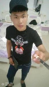 蒼龍嘯鳳凰吟 蒼龍嘯鳳凰吟