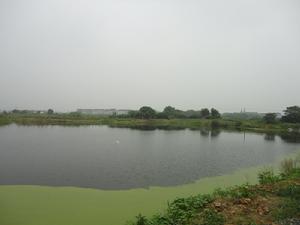 蘇州永青生態農業有限公司