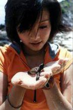 大驚小怪[2000年丁晟執導電影]