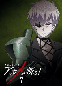 斬·赤紅之瞳！[WHITE FOX製作的電視動畫]