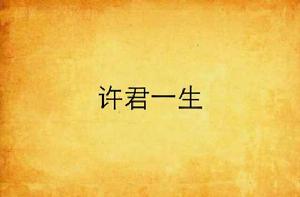 許君一生 許君一生