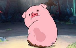 Waddles Waddles
