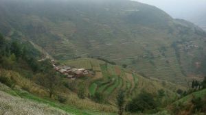 李家梁村 李家梁村