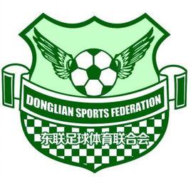 臨沂東聯足球隊 臨沂東聯足球隊