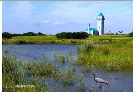 沙島湖生態旅遊景區 沙島湖生態旅遊景區