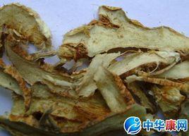 鹿蹄根[鹿蹄根]