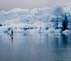 基奈峽灣國家公園 基奈峽灣國家公園