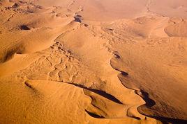 納米布沙漠 納米布沙漠