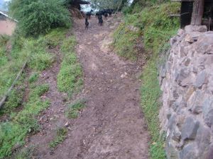 漢青場村 漢青場村