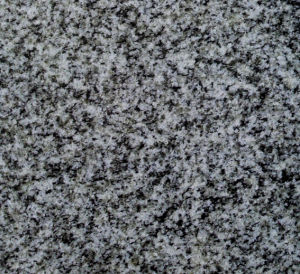 鯨灰石(亞基石) | Kuru Grey |