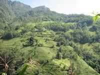 雙巴東自然村 雙巴東自然村