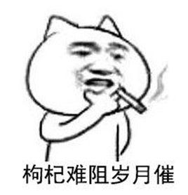 保溫杯配枸杞 保溫杯配枸杞