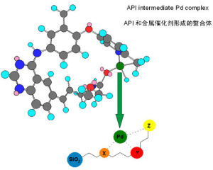 專性吸附 專性吸附