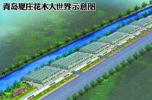 青島花木大世界示意圖