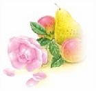 （圖）酒與食物搭配 