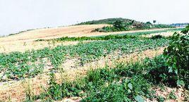 晉都新田 晉都新田