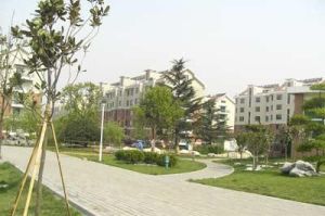 即發陽光城社區 即發陽光城社區