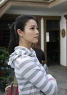 九里香[2010年王星軍執導電影]