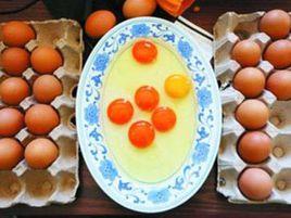 加麗素紅 加麗素紅