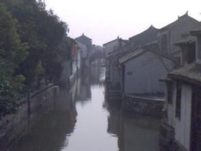 市橋官柳 市橋官柳