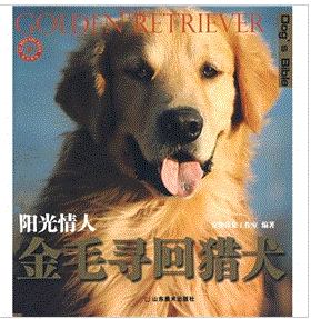 《金毛尋回獵犬》