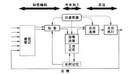人的信息加工模型 人的信息加工模型