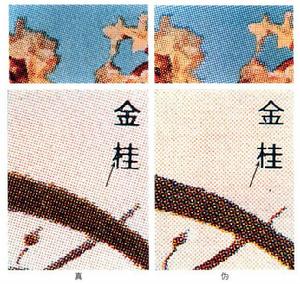 無齒小全張真偽鑑別